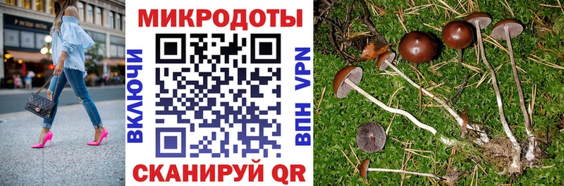 купить наркоту  Орлов  Галлюциногенные грибы Magic Shrooms 